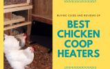 Best Chicken Coop Heaters In 2022 Reviews With Buying Guide