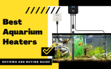 Best Aquarium Heaters For Small And Large Tanks – Reviews 2022